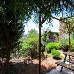 Отель Tur Sinai Organic Farm Resort Иерусалим фото 20