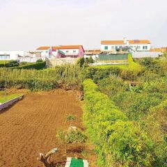Отель Apartamento Terra e Mar II Португалия, Понта-Делгада - отзывы, цены и фото номеров - забронировать отель Apartamento Terra e Mar II онлайн пляж