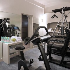 Отель Trevi Palace Luxury Inn фитнесс-зал