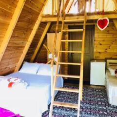 Отель Tabiat Bungalows Чамлыхемшин фото 18