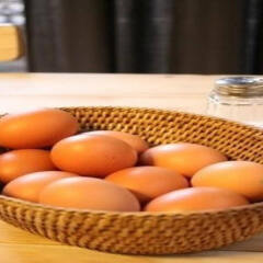 Отель Goodday Korea Guesthouse в номере