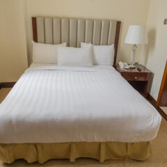 Home Town Addis Hotel in Addis Ababa, Ethiopia from 147$, photos, reviews - zenhotels.com guestroom photo 4