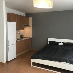 Отель Queens 7 Apartments Чехия, Прага - отзывы, цены и фото номеров - забронировать отель Queens 7 Apartments онлайн в номере фото 2