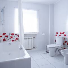 Sosnovy Bor Park-Hotel фото 23