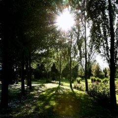 Отель Tenuta San Domenico Капуя