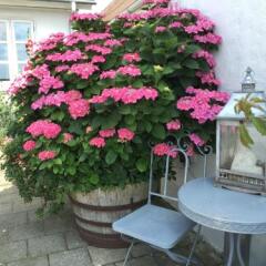 Отель Vejle Golf Bed & Breakfast Боркоп балкон