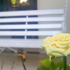 Отель Sac Xanh Homestay Вьетнам, Хойан - 1 отзыв об отеле, цены и фото номеров - забронировать отель Sac Xanh Homestay онлайн балкон