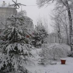 Отель Guest Complex Sosny Светлогорск фото 24