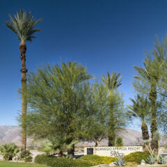 Отель Borrego Springs Resort and Spa фото 15