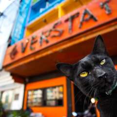 The Overstay Hostel фото 18