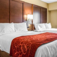 Comfort Suites Manheim - Lancaster in Elm, United States of America from 147$, photos, reviews - zenhotels.com guestroom photo 2