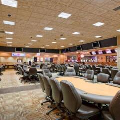 Отель The Orleans Hotel & Casino США, Лас-Вегас - отзывы, цены и фото номеров - забронировать отель The Orleans Hotel & Casino онлайн развлечения