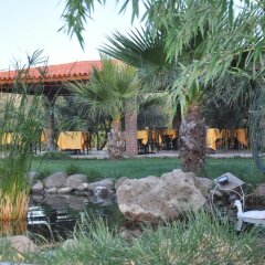 Vinocasa Hotel Турция, Дикили - отзывы, цены и фото номеров - забронировать отель Vinocasa Hotel онлайн