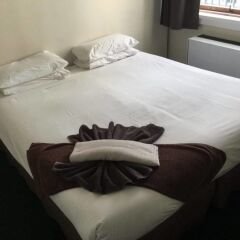 Отель Nomads Fat Camel Hostel / Backpacker Новая Зеландия, Окленд - отзывы, цены и фото номеров - забронировать отель Nomads Fat Camel Hostel / Backpacker онлайн