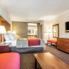 Отель Comfort Inn Near Pasadena Civic Auditorium США, Пасадена - отзывы, цены и фото номеров - забронировать отель Comfort Inn Near Pasadena Civic Auditorium онлайн комната для гостей фото 4