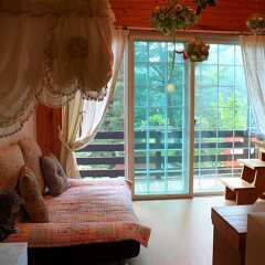 Отель Pyeongchang Four Seasons House (Swiss Chalet Pension) Южная Корея, Пхёнчан - отзывы, цены и фото номеров - забронировать отель Pyeongchang Four Seasons House (Swiss Chalet Pension) онлайн фото 6