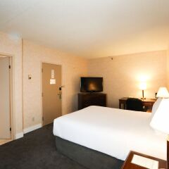 Отель Atrium Inn Vancouver Канада, Ванкувер - отзывы, цены и фото номеров - забронировать отель Atrium Inn Vancouver онлайн комната для гостей фото 4