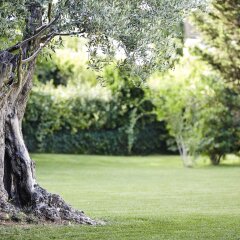 Отель Novotel Toulouse Centre Compans Caffarelli Франция, Тулуза - отзывы, цены и фото номеров - забронировать отель Novotel Toulouse Centre Compans Caffarelli онлайн спортивное сооружение