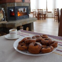 Family Hotel Krisbo Арбанаси с домашними животными