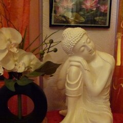 Отель Flat ambiance ZEN Франция, Ницца - отзывы, цены и фото номеров - забронировать отель Flat ambiance ZEN онлайн помещение для мероприятий