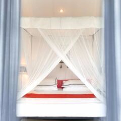 Отель The Sun House Шри-Ланка, Галле - отзывы, цены и фото номеров - забронировать отель The Sun House онлайн удобства в номере