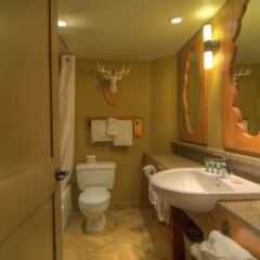Отель Banff Caribou Lodge and Spa ванная фото 2