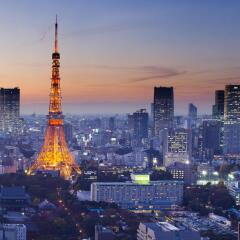 Отель Tokyo Buc фото 8