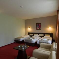 Park Hotel Arbanassi Велико Тырново фото 29