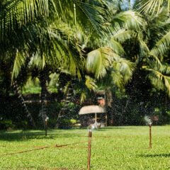 Отель Hoi An Silk Marina Resort & Spa Вьетнам, Хойан - отзывы, цены и фото номеров - забронировать отель Hoi An Silk Marina Resort & Spa онлайн фото 6