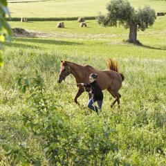 Отель Agriturismo Il Gelso Antico Италия, Реканати - отзывы, цены и фото номеров - забронировать отель Agriturismo Il Gelso Antico онлайн с домашними животными