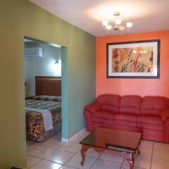 Отель Cactus Inn Los Cabos Мексика, Эль-Бедито - отзывы, цены и фото номеров - забронировать отель Cactus Inn Los Cabos онлайн комната для гостей фото 5