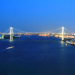Отель Intercontinental Tokyo Bay Токио пляж