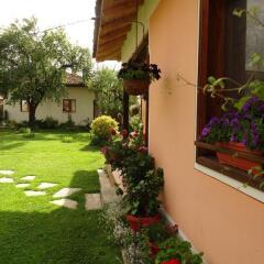 Отель Bobi Guest House Болгария, Копривштица - отзывы, цены и фото номеров - забронировать отель Bobi Guest House онлайн фото 22