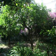 Отель Il Giardino di Tonia B&B Италия, Торре-Аннунциата - отзывы, цены и фото номеров - забронировать отель Il Giardino di Tonia B&B онлайн