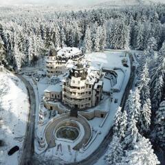 Отель Festa Winter Palace Болгария, Боровец - 3 отзыва об отеле, цены и фото номеров - забронировать отель Festa Winter Palace онлайн спортивное сооружение
