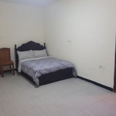 Tazina Guest House in Addis Ababa, Ethiopia from 121$, photos, reviews - zenhotels.com guestroom photo 5