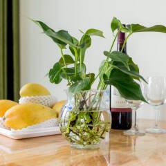 The Queen Hotel & Spa в номере фото 2