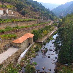 Отель Quinta De Reciao Ламего приотельная территория фото 2
