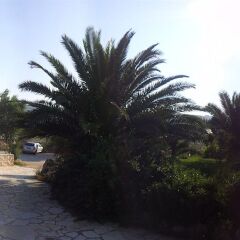 Отель Agriturismo Terra Dei Sassi Матера парковка