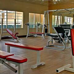 Отель City Seasons Hotel Al Ain ОАЭ, Эль-Айн - отзывы, цены и фото номеров - забронировать отель City Seasons Hotel Al Ain онлайн фитнесс-зал
