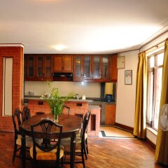 Отель Temple Tiger Thamel Apartment Непал, Катманду - отзывы, цены и фото номеров - забронировать отель Temple Tiger Thamel Apartment онлайн в номере