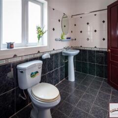 Отель Robin Hill Guesthouse Далат ванная