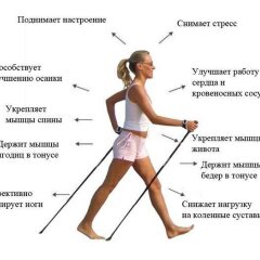 Отель Pension Asila Чехия, Карловы Вары - отзывы, цены и фото номеров - забронировать отель Pension Asila онлайн помещение для мероприятий фото 2