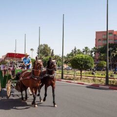 Отель Atlas Medina & Spa Марокко, Марракеш - 1 отзыв об отеле, цены и фото номеров - забронировать отель Atlas Medina & Spa онлайн городской автобус