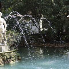 Отель Sheraton Diana Majestic фото 3
