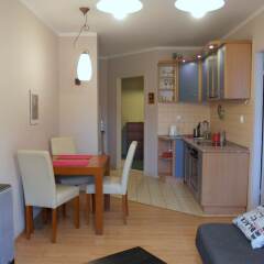 Отель Horison Apartments Польша, Вроцлав - отзывы, цены и фото номеров - забронировать отель Horison Apartments онлайн фото 4