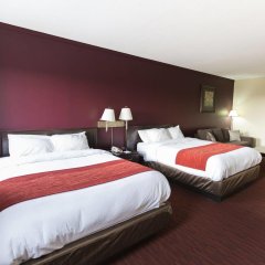Argyll Plaza Hotel in Edmonton, Canada from 78$, photos, reviews - zenhotels.com guestroom photo 5