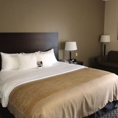 Comfort Inn Horn Lake - Southaven in Horn Lake, United States of America from 136$, photos, reviews - zenhotels.com guestroom