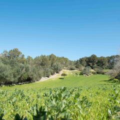 Отель Agroturisme Perola - Adults Only фото 16