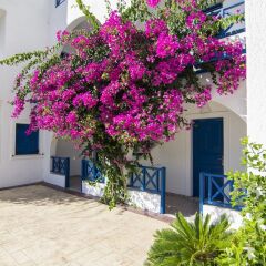 Отель Margarenia Studios Греция, Остров Санторини - отзывы, цены и фото номеров - забронировать отель Margarenia Studios онлайн фото 15
